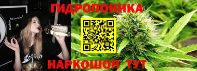 дурь Гусев