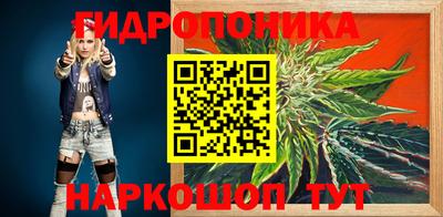 дурь Гусев