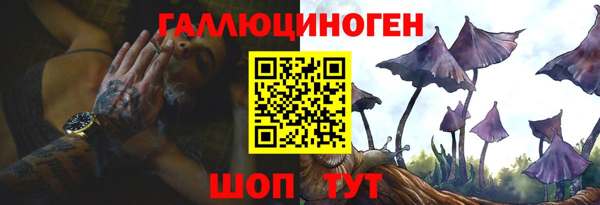 Галлюциногенные грибы ЛСД  Псилоцибиновые грибы мицелий  Нижний Тагил  Вход с VPN 